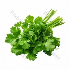 Coriander Bunch (Dhaniya Patta) 100 gm